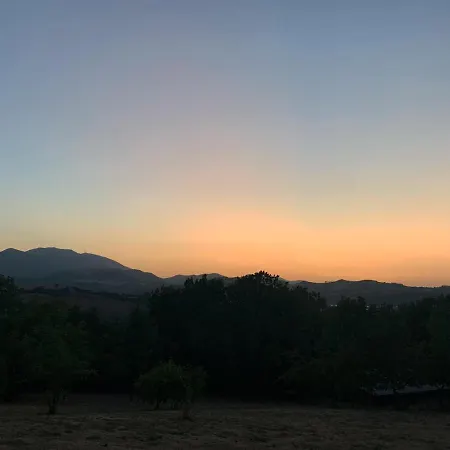 Molleone ファームステイ *