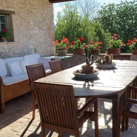 Molleone * カーリ