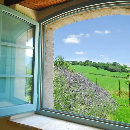 Molleone * カーリ